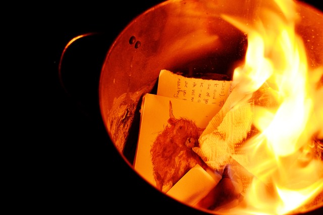 bonmamas cow card closeup