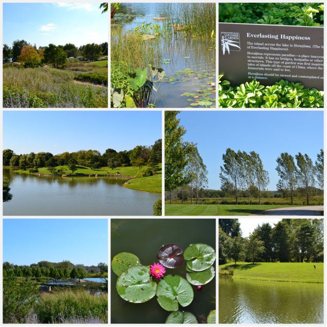 Que Sera Sara -- Chicago Botanic Garden Collage